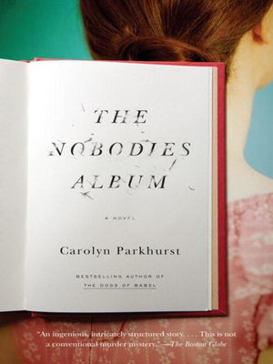 cover image of The Nobodies Album